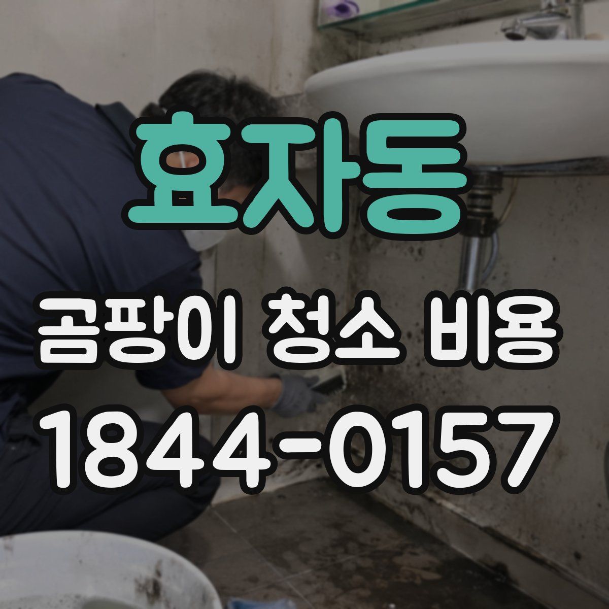 효자동 곰팡이 청소 비용