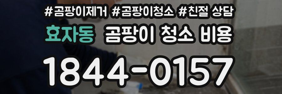 효자동 곰팡이 청소 비용
