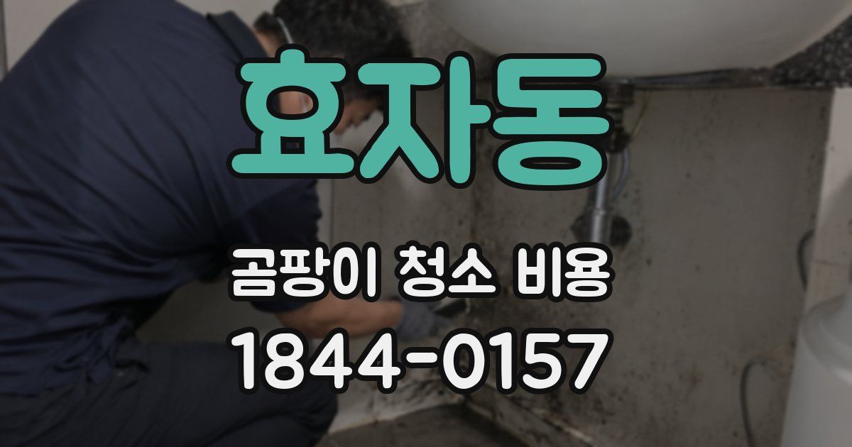 효자동 곰팡이 청소 비용