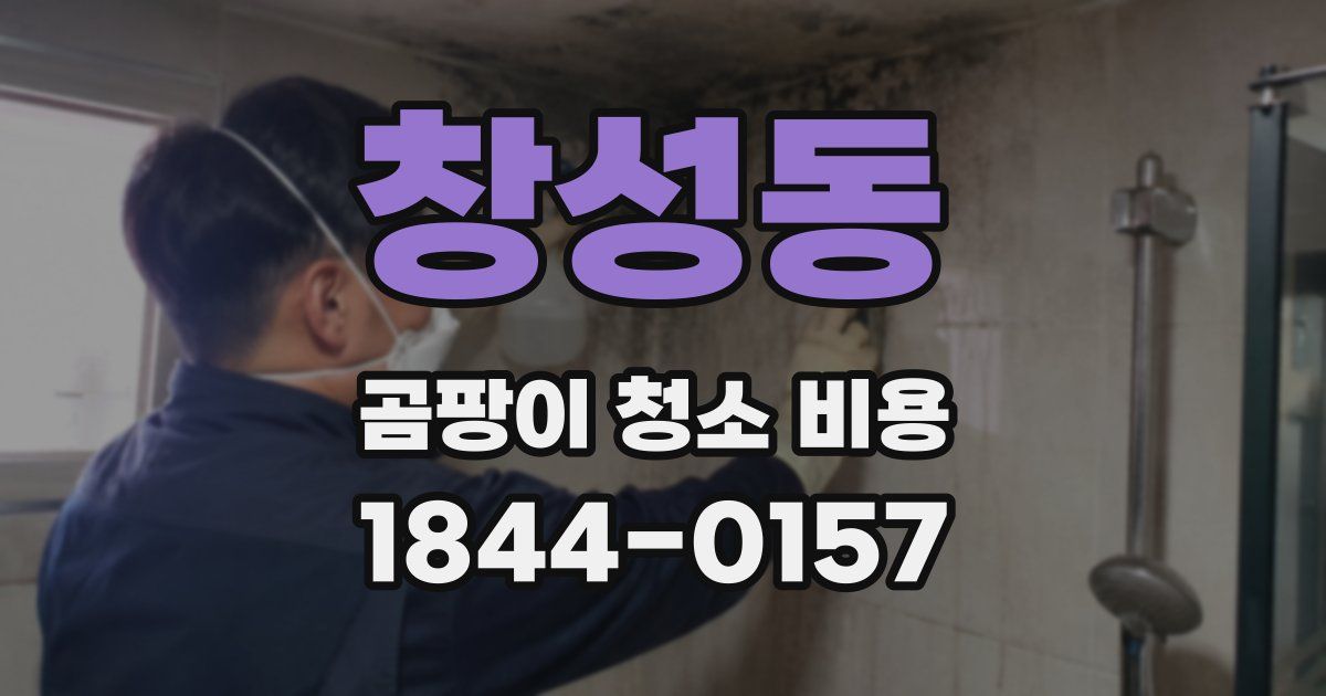 창성동 곰팡이 청소 비용