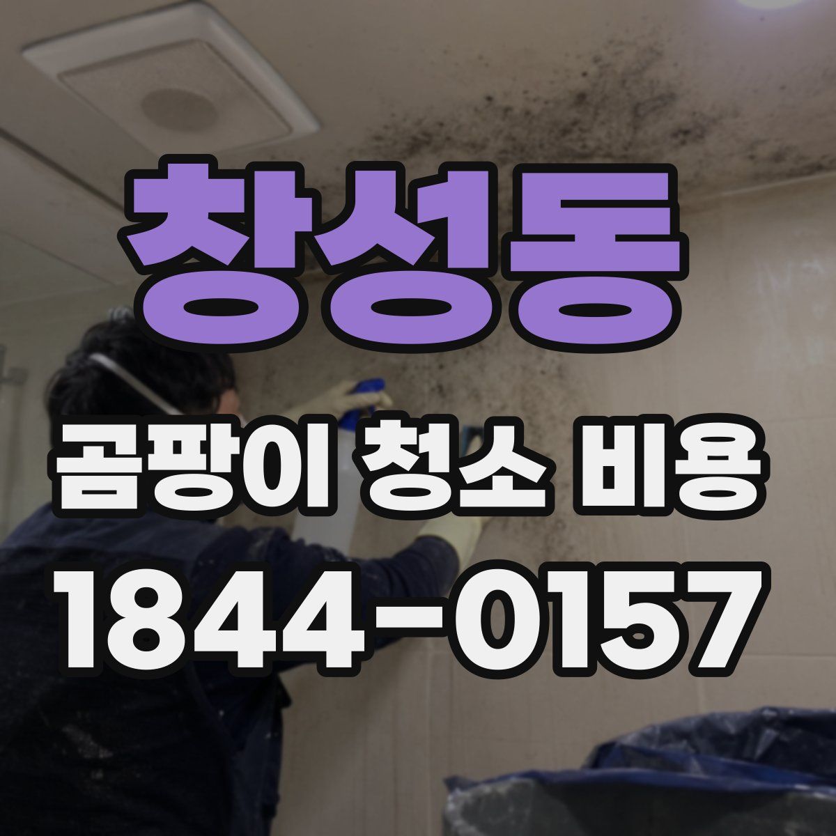 창성동 곰팡이 청소 비용