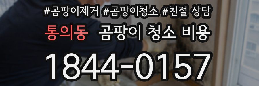 통의동 곰팡이 청소 비용