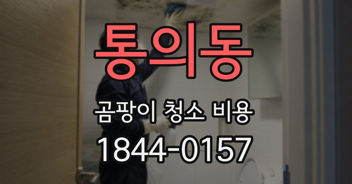 통의동 곰팡이 청소 비용