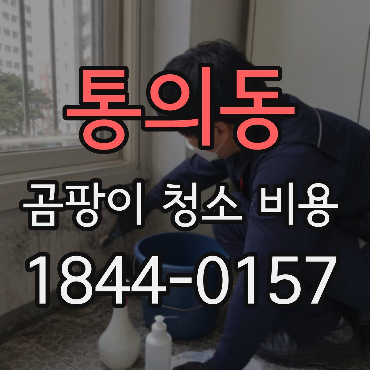 통의동 곰팡이 청소 비용