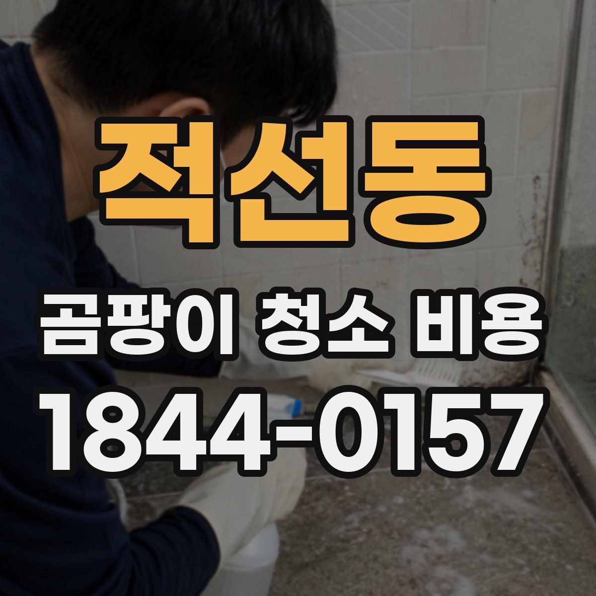 적선동 곰팡이 청소 비용