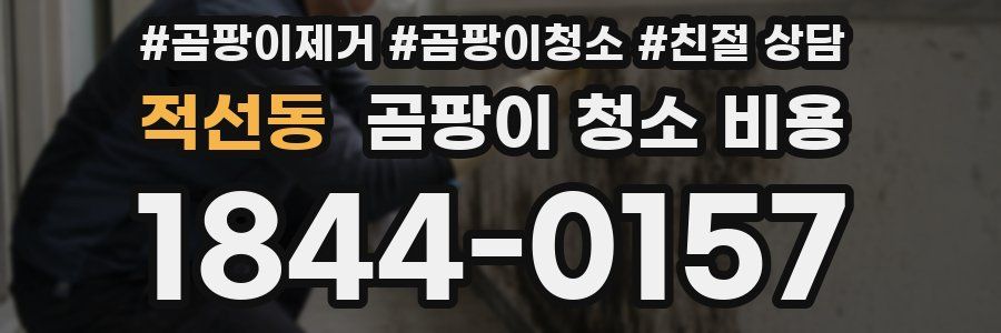 적선동 곰팡이 청소 비용