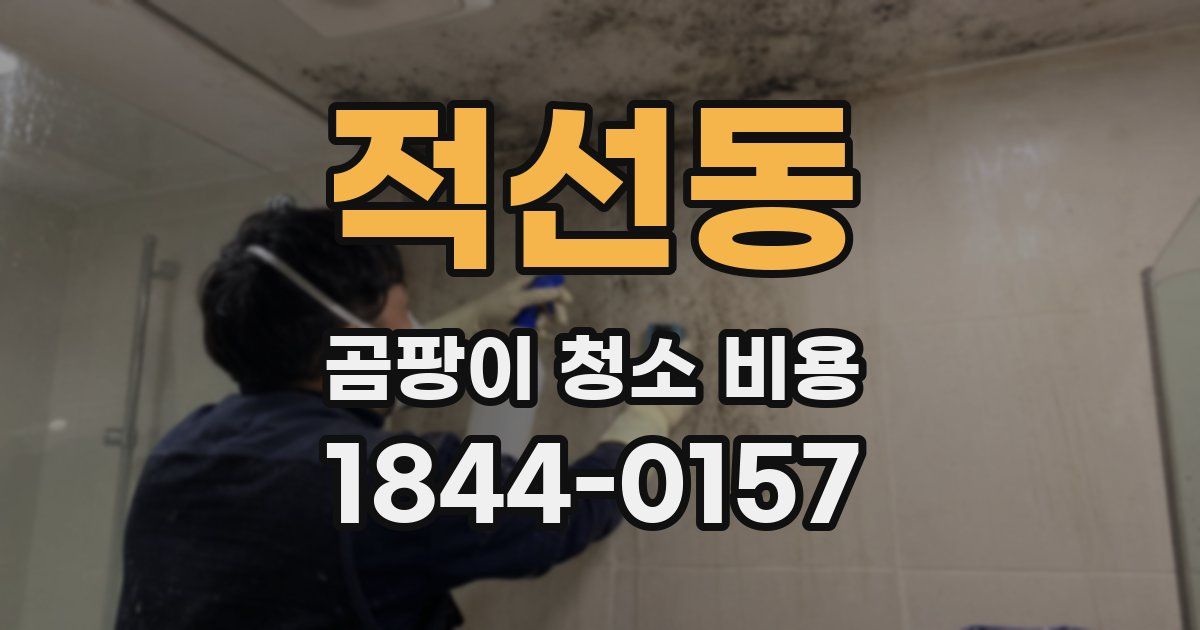 적선동 곰팡이 청소 비용