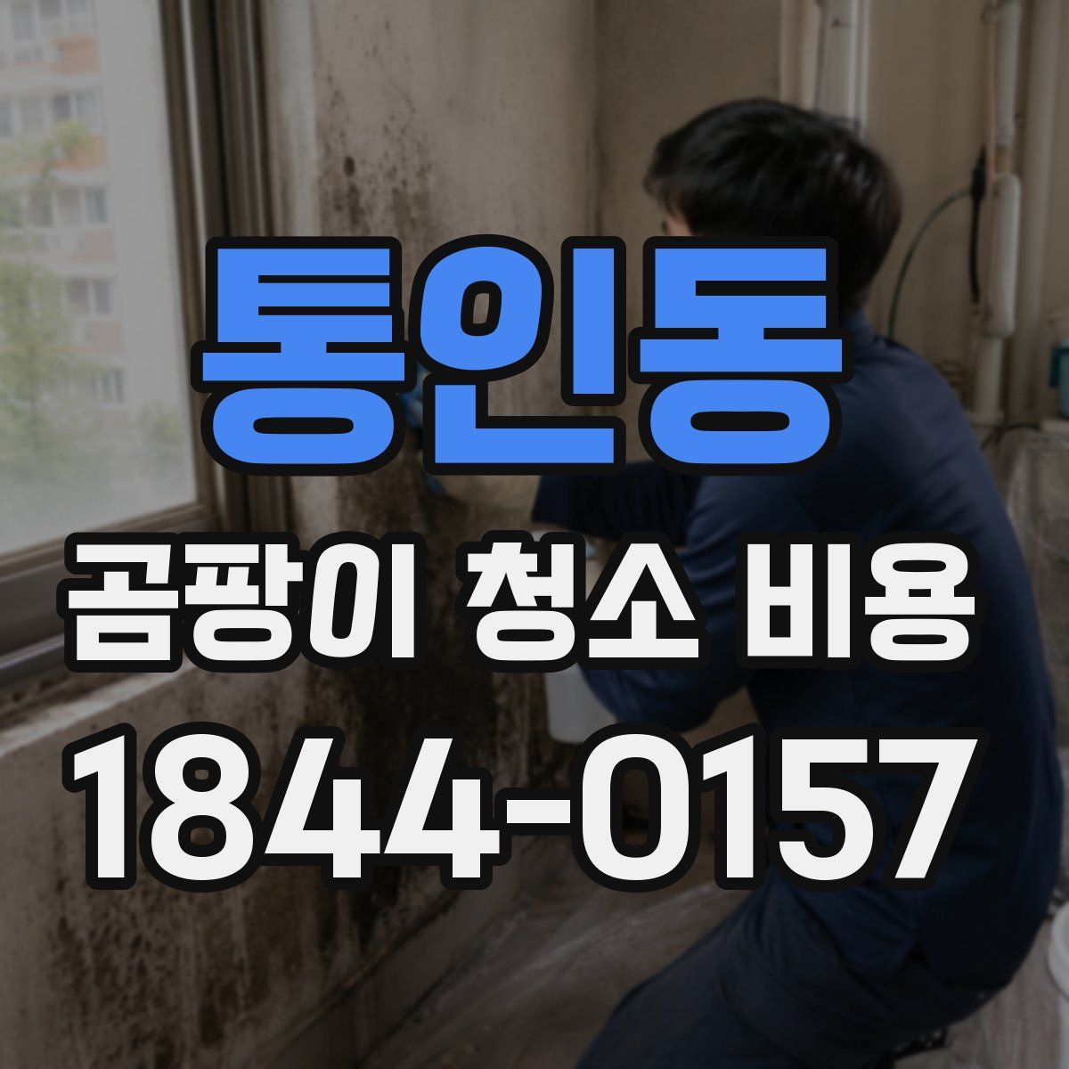 통인동 곰팡이 청소 비용