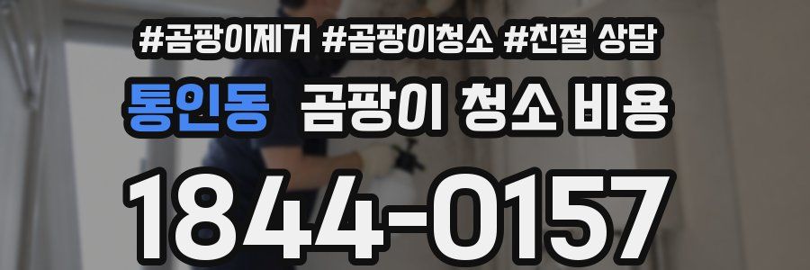 통인동 곰팡이 청소 비용