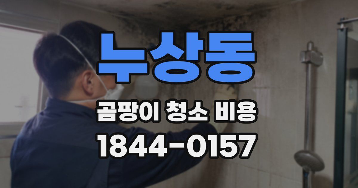 누상동 곰팡이 청소 비용