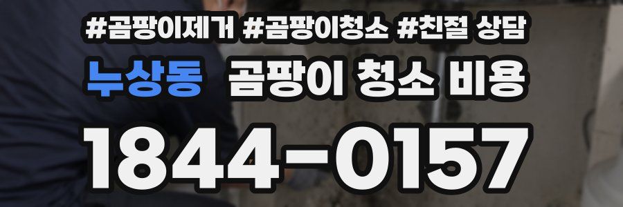 누상동 곰팡이 청소 비용
