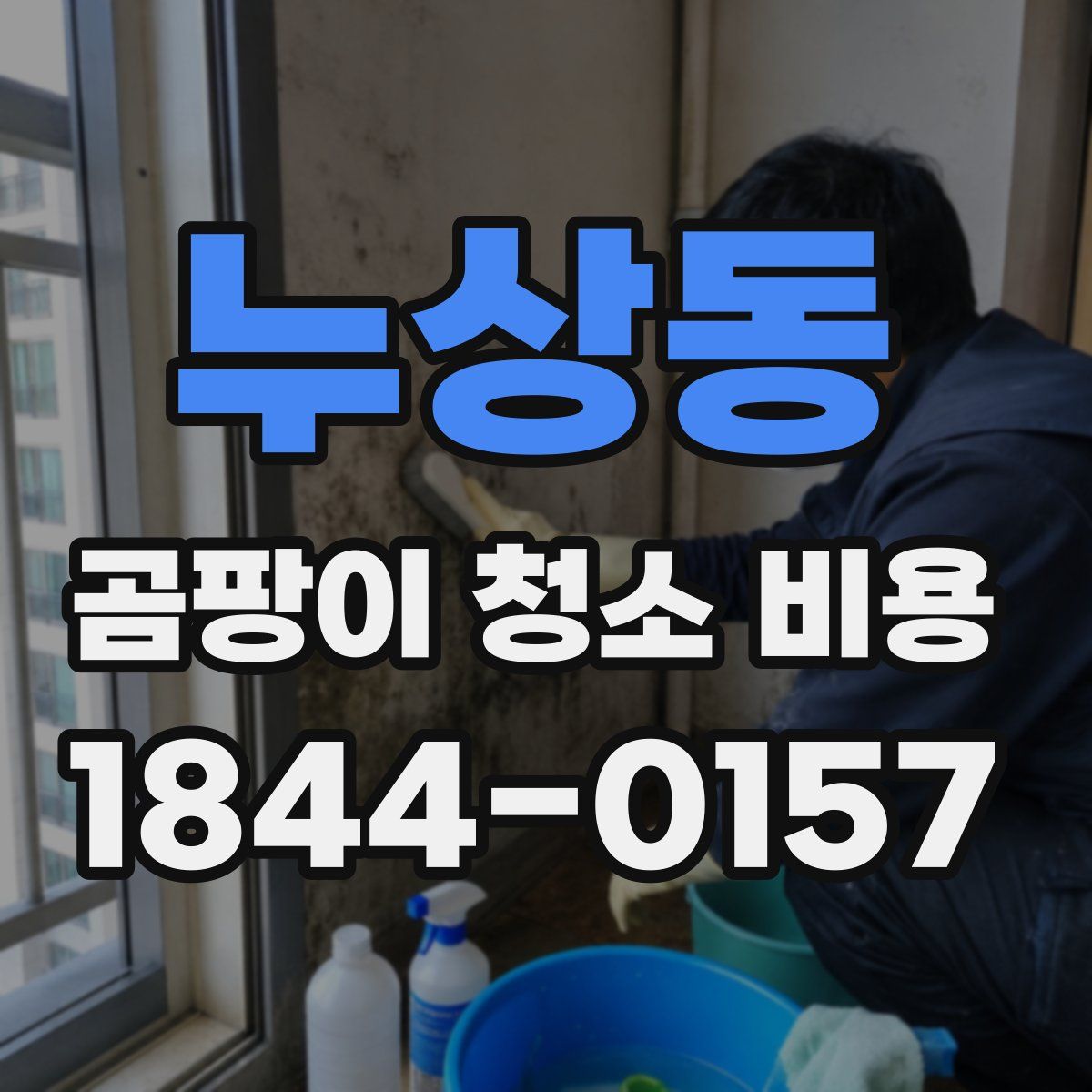 누상동 곰팡이 청소 비용