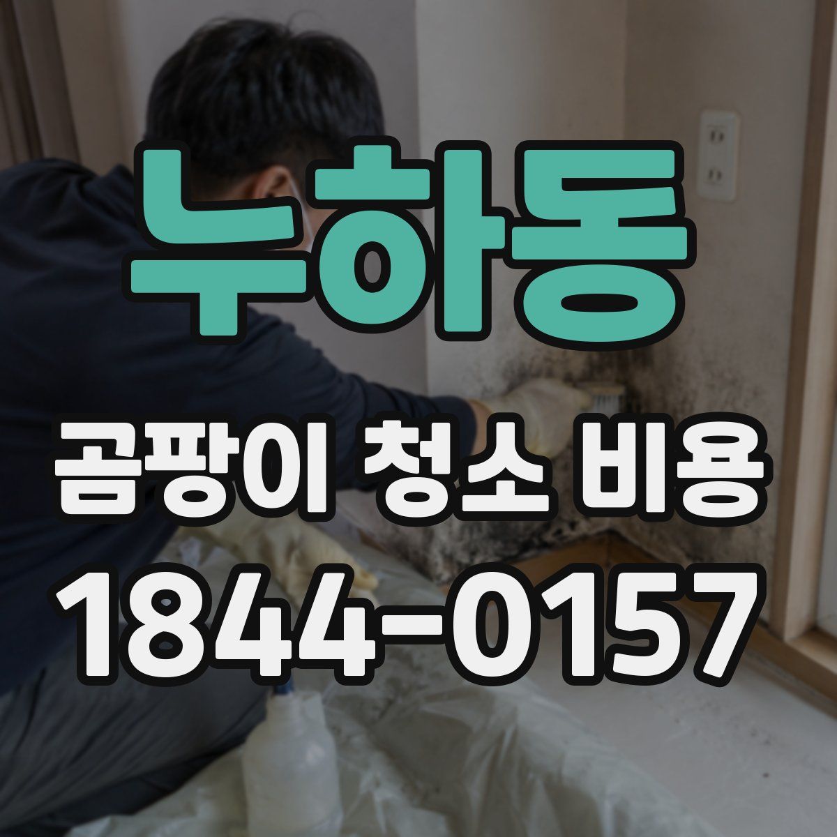 누하동 곰팡이 청소 비용