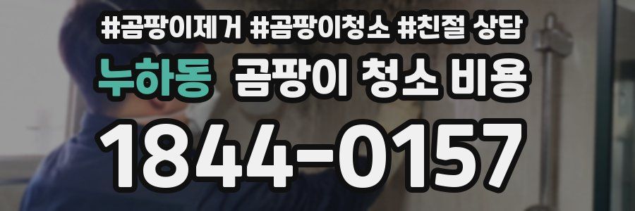 누하동 곰팡이 청소 비용