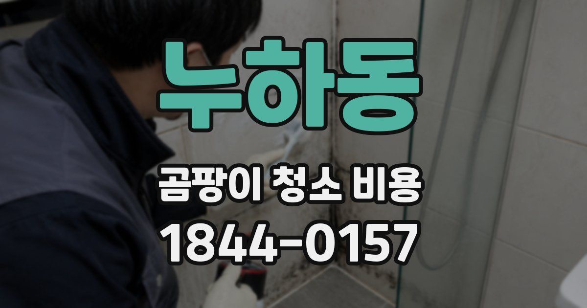 누하동 곰팡이 청소 비용