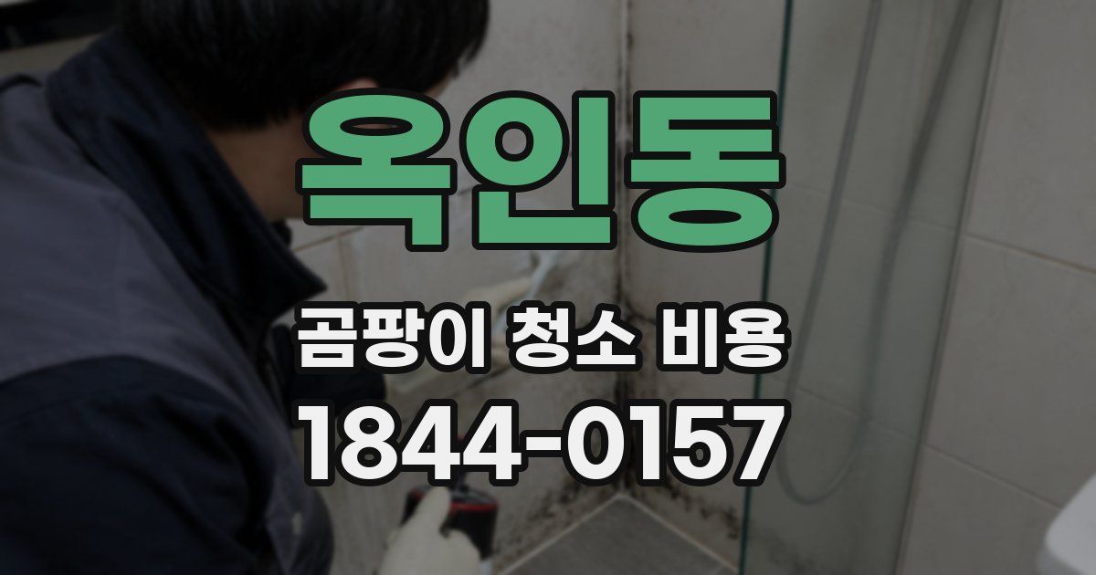 옥인동 곰팡이 청소 비용