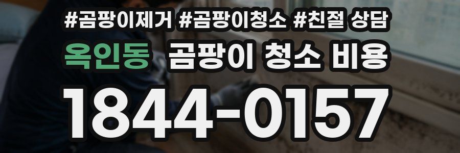 옥인동 곰팡이 청소 비용