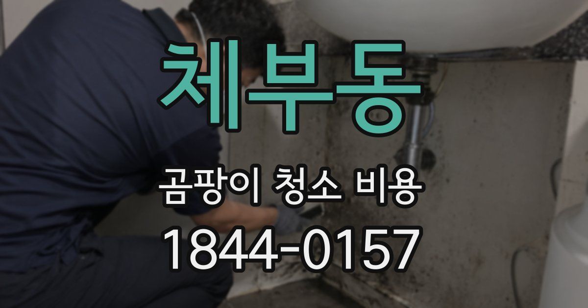 체부동 곰팡이 청소 비용