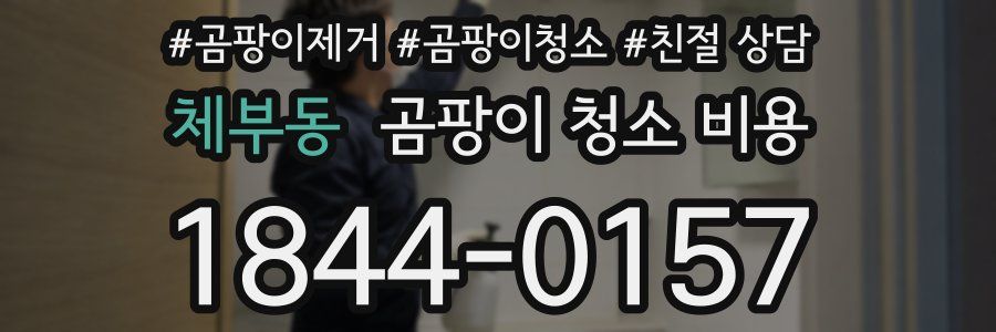체부동 곰팡이 청소 비용