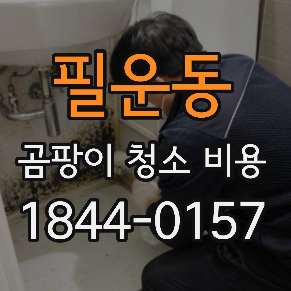 필운동 곰팡이 청소 비용