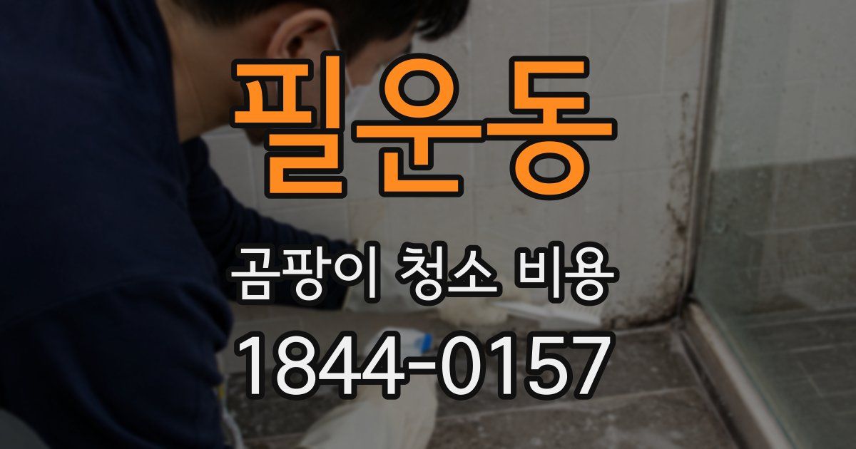 필운동 곰팡이 청소 비용