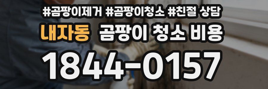 내자동 곰팡이 청소 비용