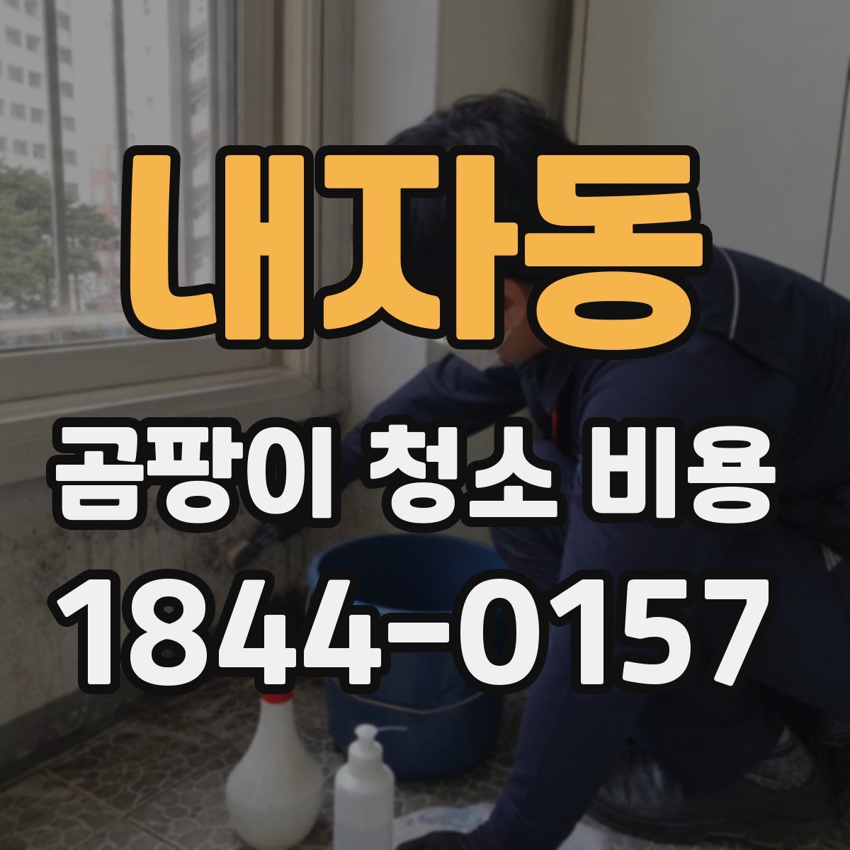 내자동 곰팡이 청소 비용