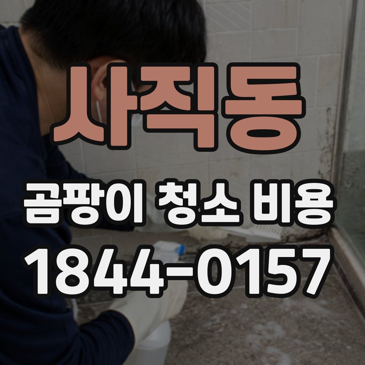 사직동 곰팡이 청소 비용
