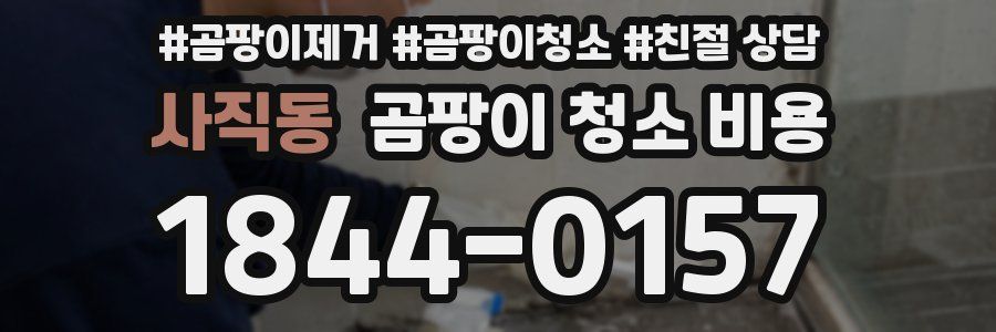 사직동 곰팡이 청소 비용