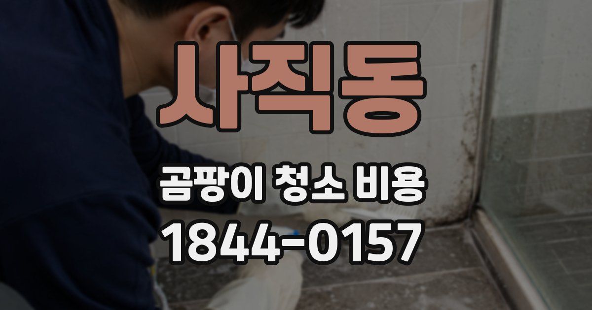 사직동 곰팡이 청소 비용