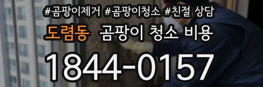 도렴동 곰팡이 청소 비용