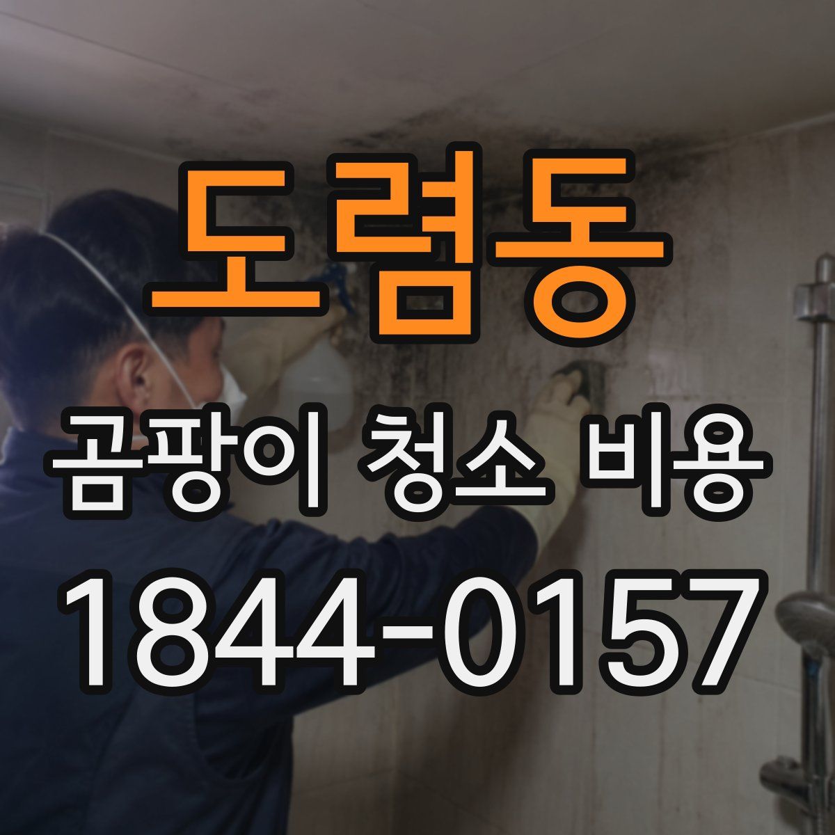 도렴동 곰팡이 청소 비용
