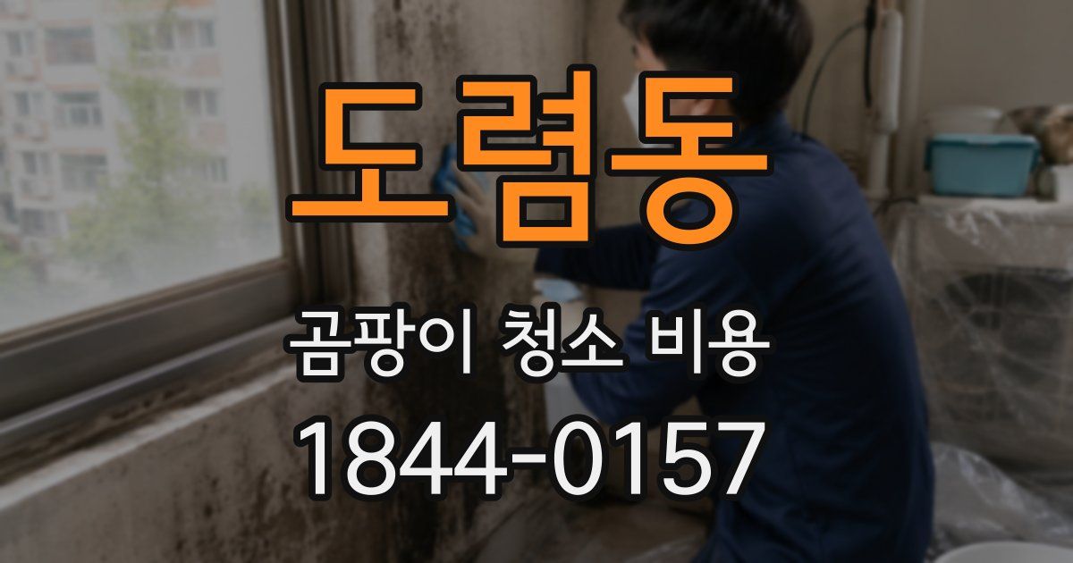 도렴동 곰팡이 청소 비용