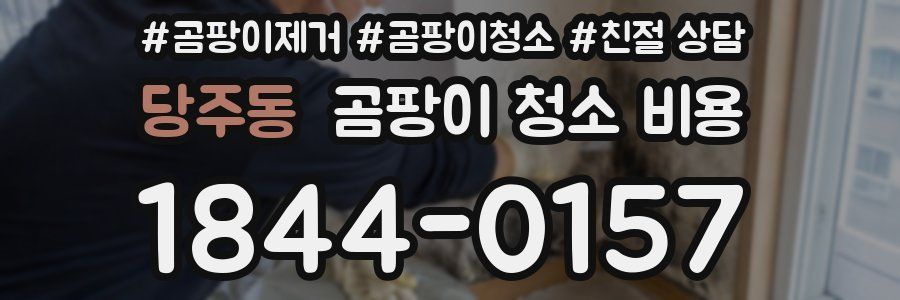 당주동 곰팡이 청소 비용