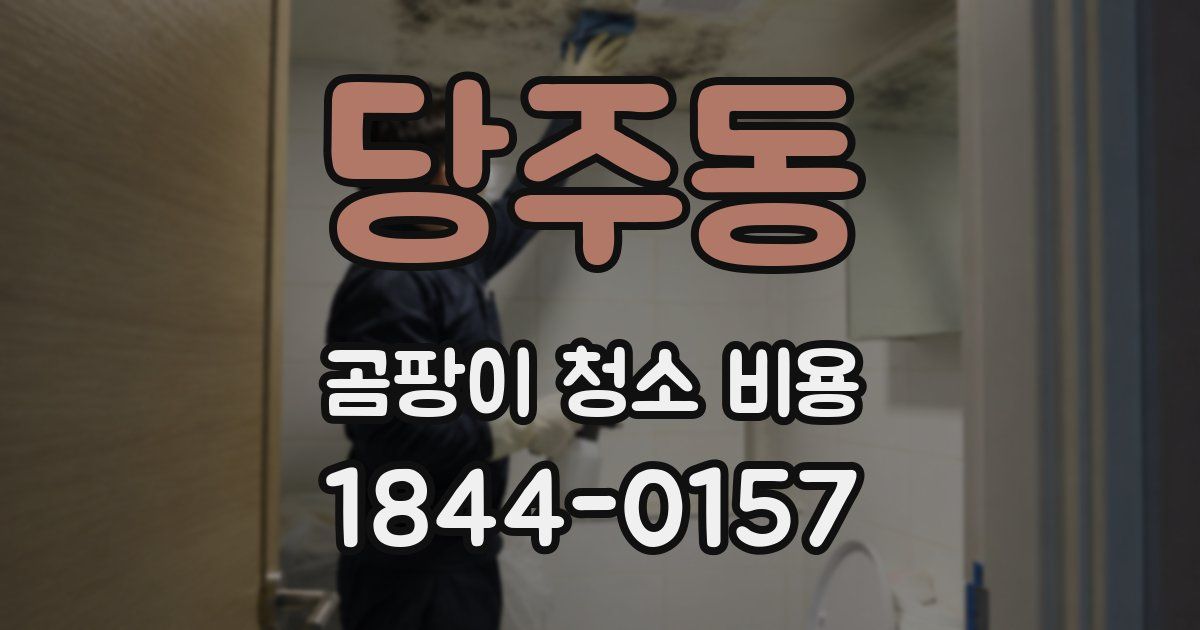 당주동 곰팡이 청소 비용
