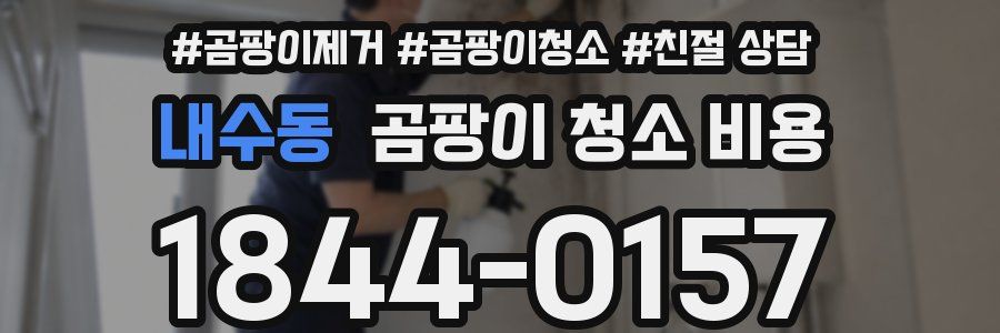 내수동 곰팡이 청소 비용