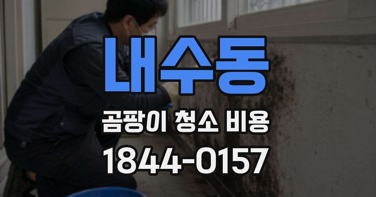 내수동 곰팡이 청소 비용