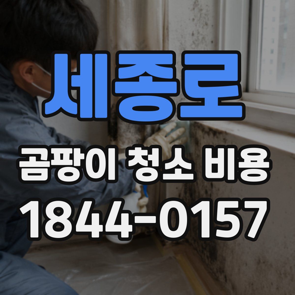 세종로 곰팡이 청소 비용