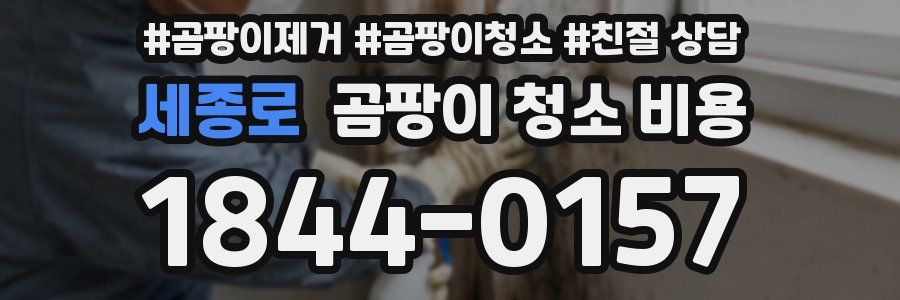 세종로 곰팡이 청소 비용