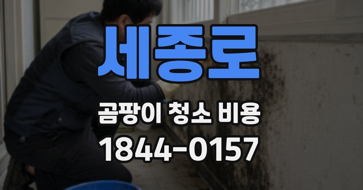 세종로 곰팡이 청소 비용