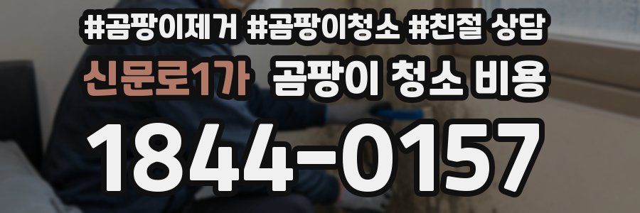 신문로1가 곰팡이 청소 비용