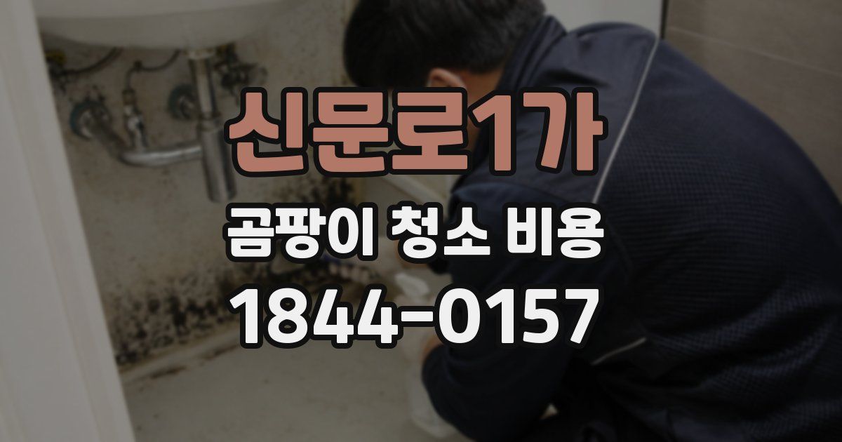 신문로1가 곰팡이 청소 비용