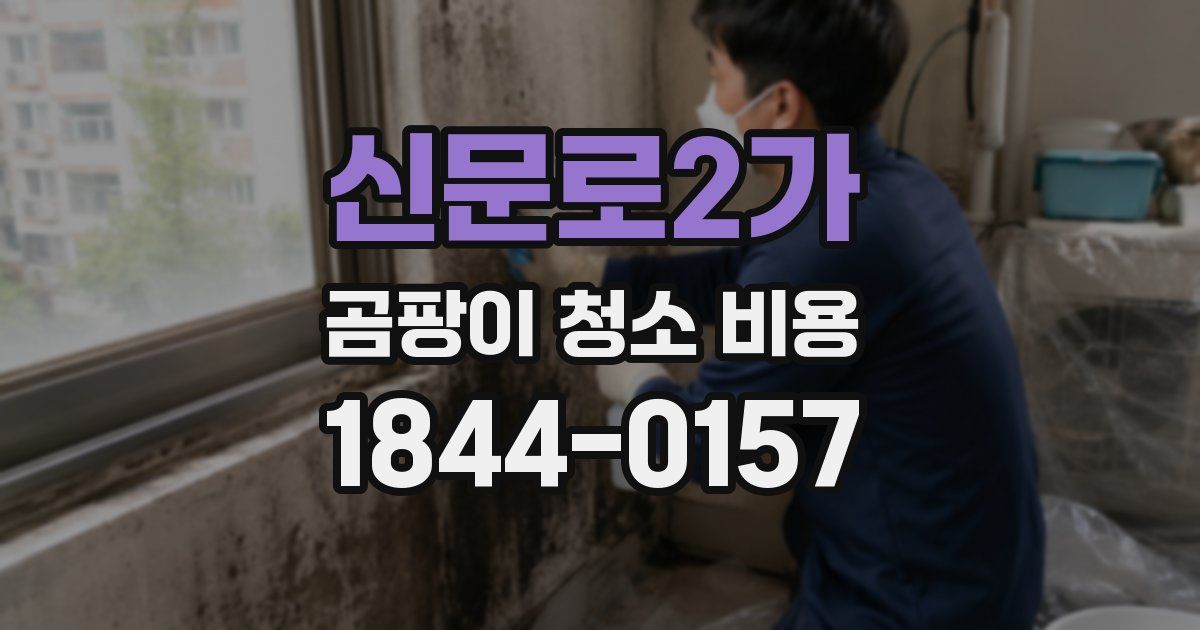 신문로2가 곰팡이 청소 비용
