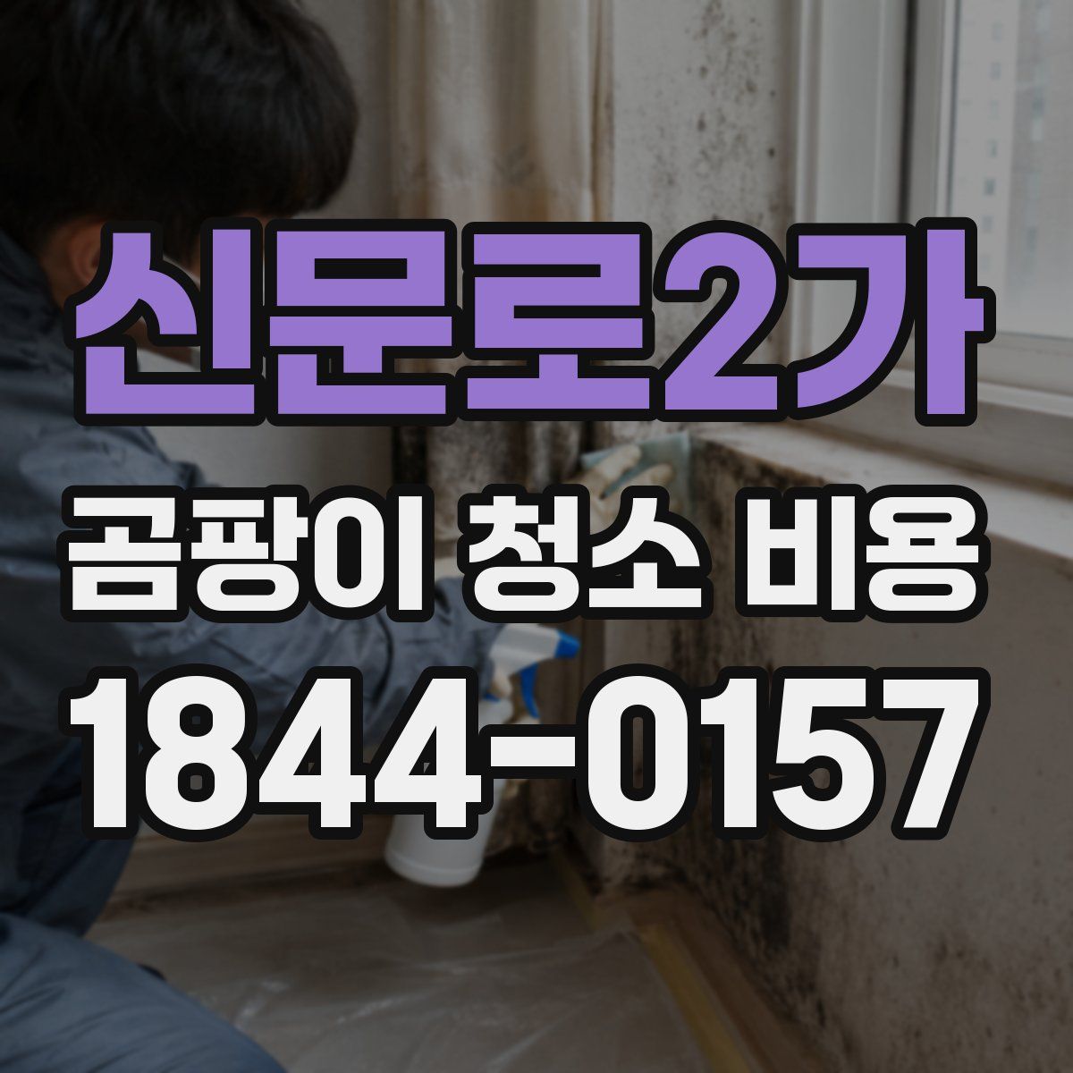 신문로2가 곰팡이 청소 비용