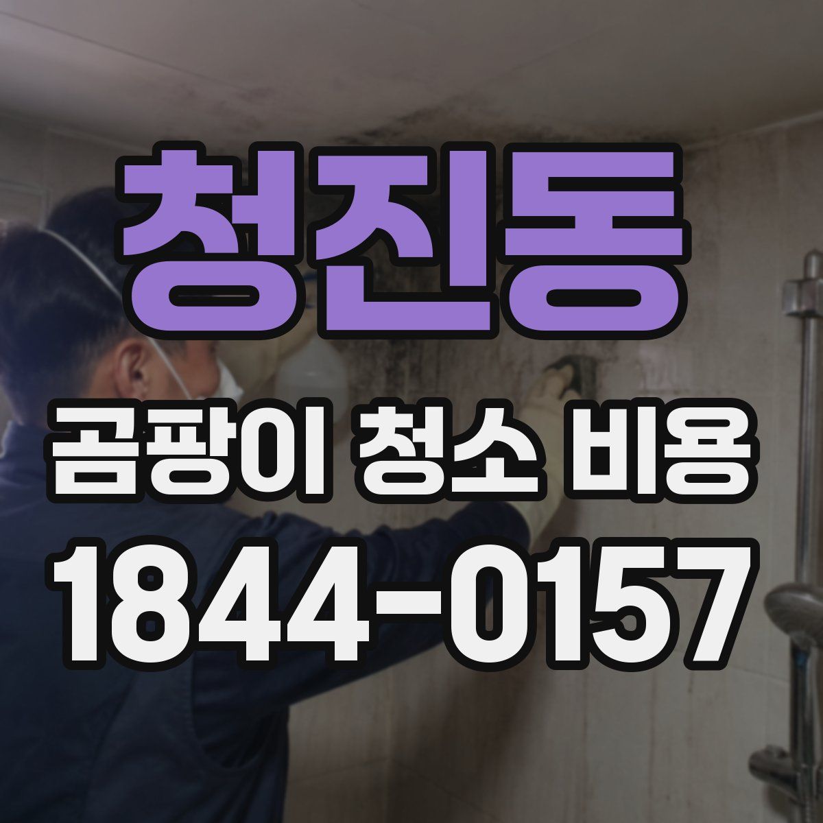 청진동 곰팡이 청소 비용