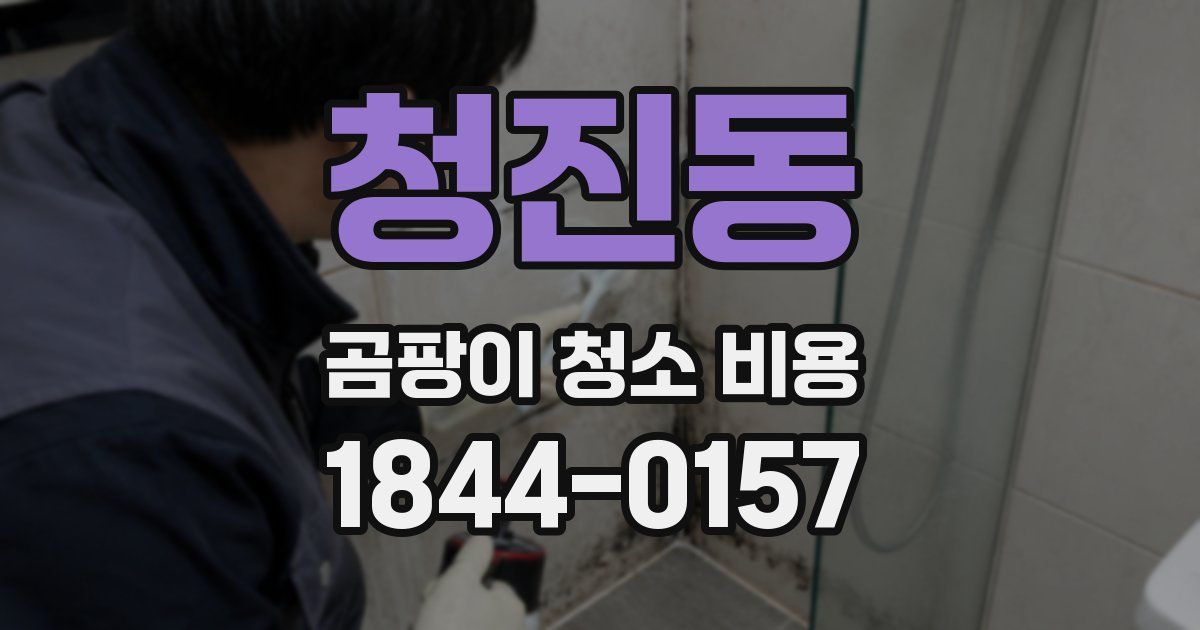 청진동 곰팡이 청소 비용