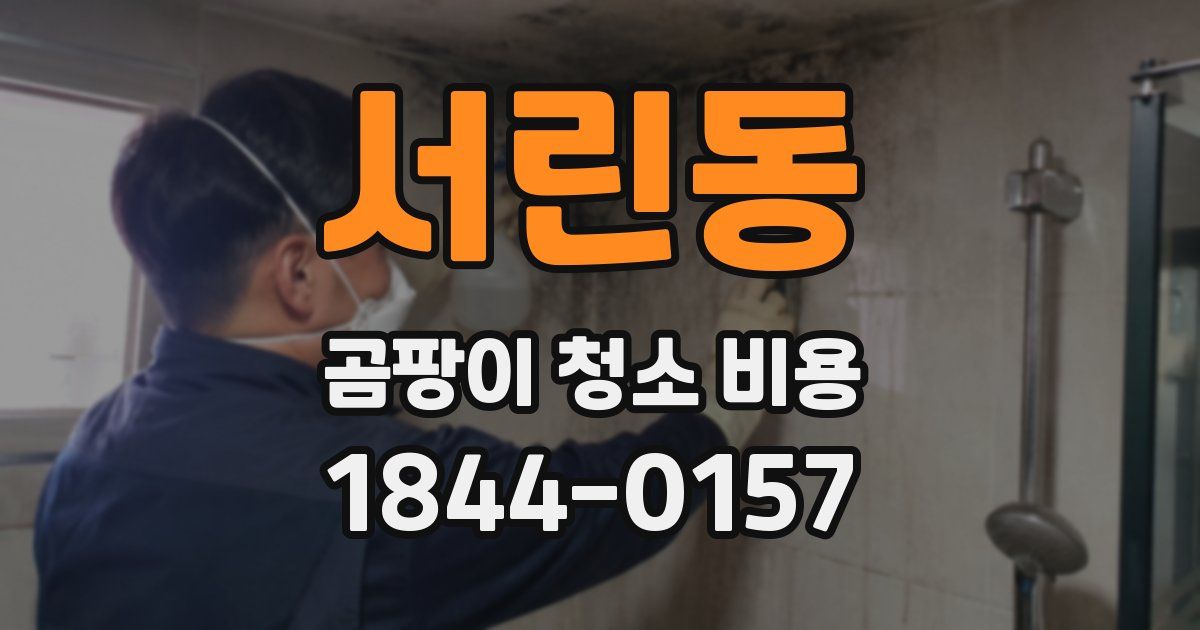 서린동 곰팡이 청소 비용