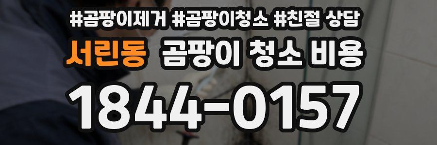 서린동 곰팡이 청소 비용
