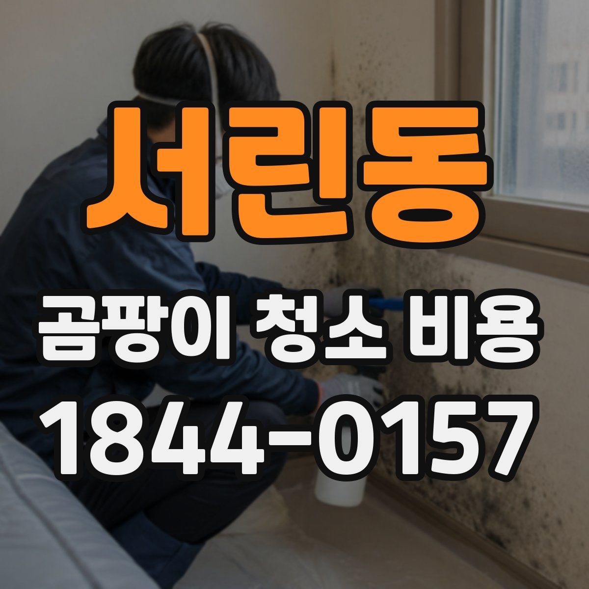서린동 곰팡이 청소 비용