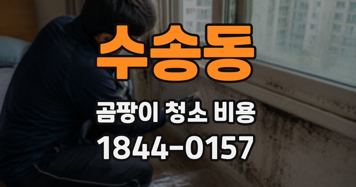 수송동 곰팡이 청소 비용